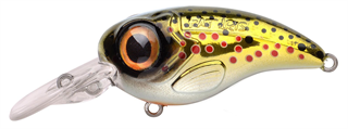 0001_Spro_Fat_Iris_50_CR_[Brown_Trout].jpg